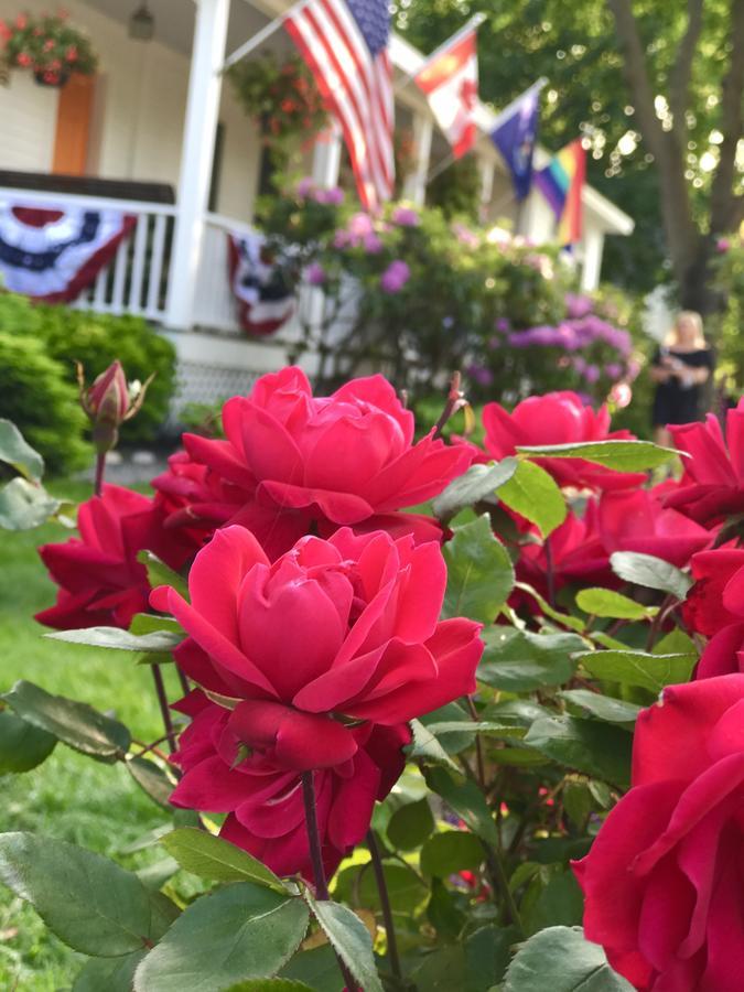 Bourne 3* Ogunquit