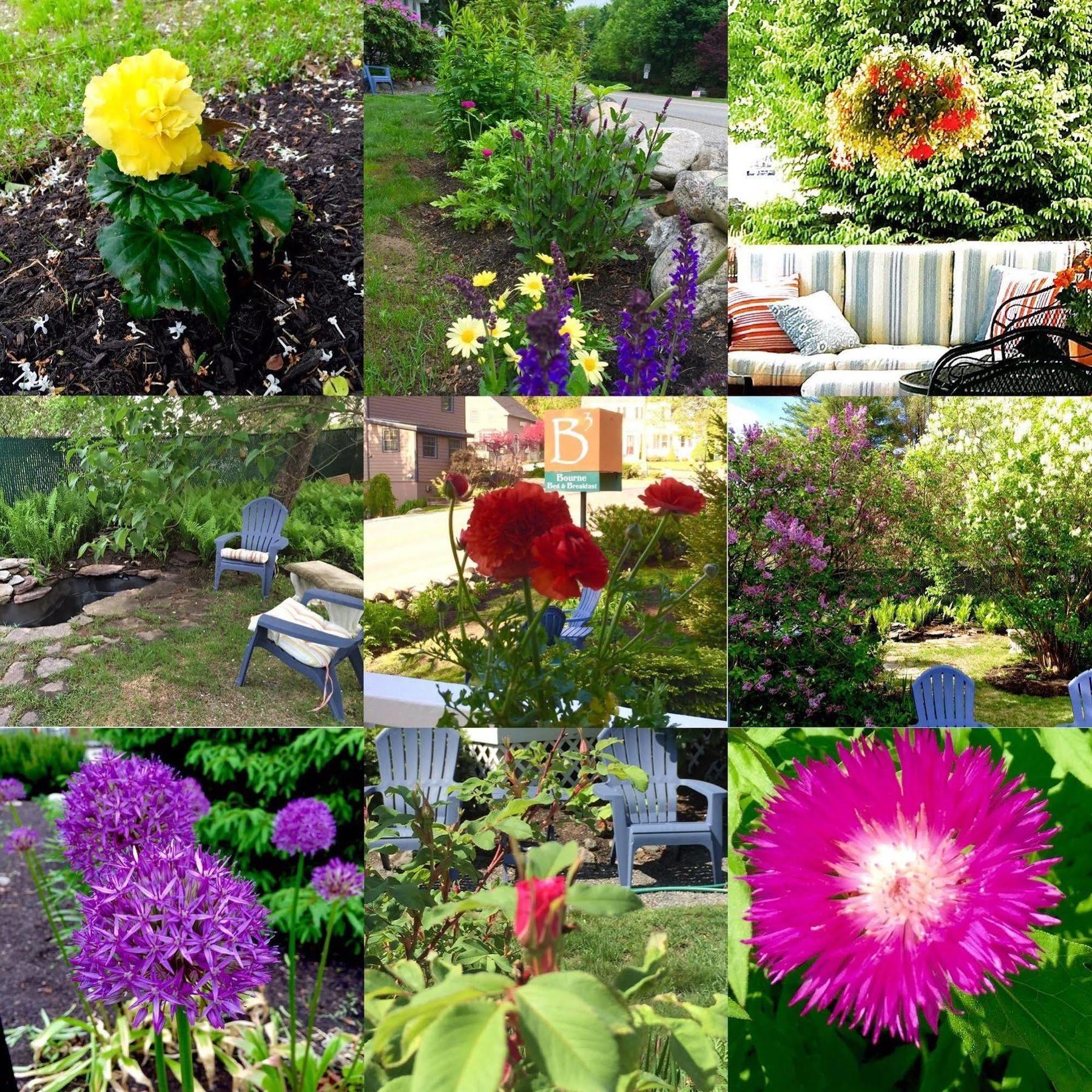 Bourne Bed & Breakfast Ogunquit
